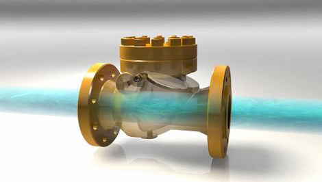 Check Valve