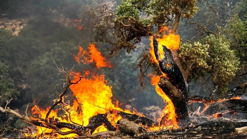 آمادگی برای اطفاء حریق در جنگل های هیرکانی